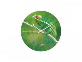 Часы настенные Nicole Time NT503 в Горном - gornyj.mebel-nsk.ru | фото